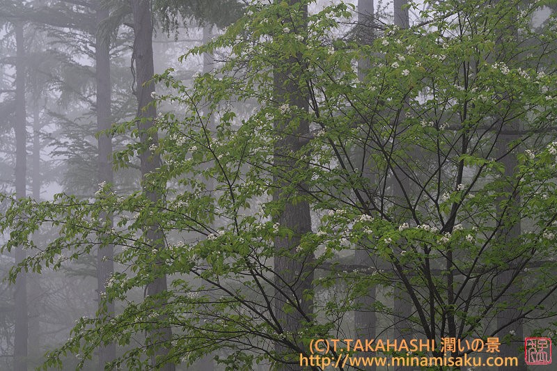 ../Images/7R250524 (8).jpg